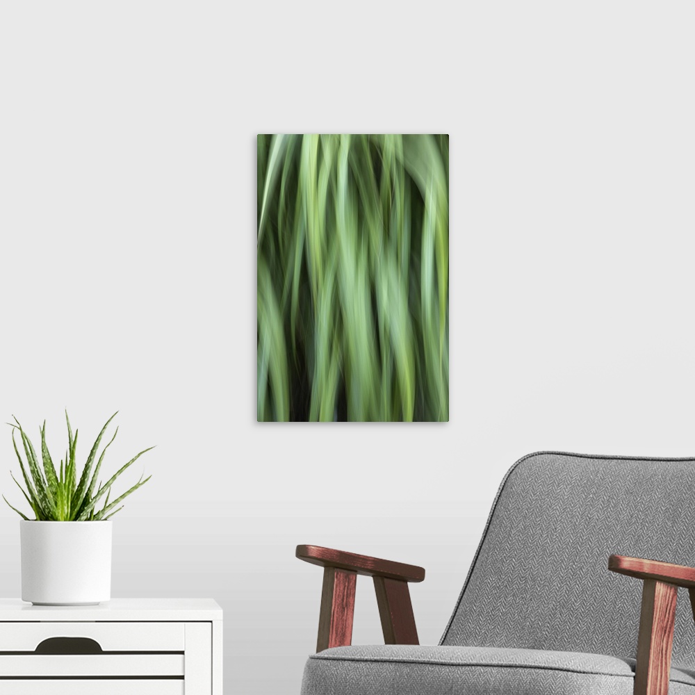 A modern room featuring Grass Abstract