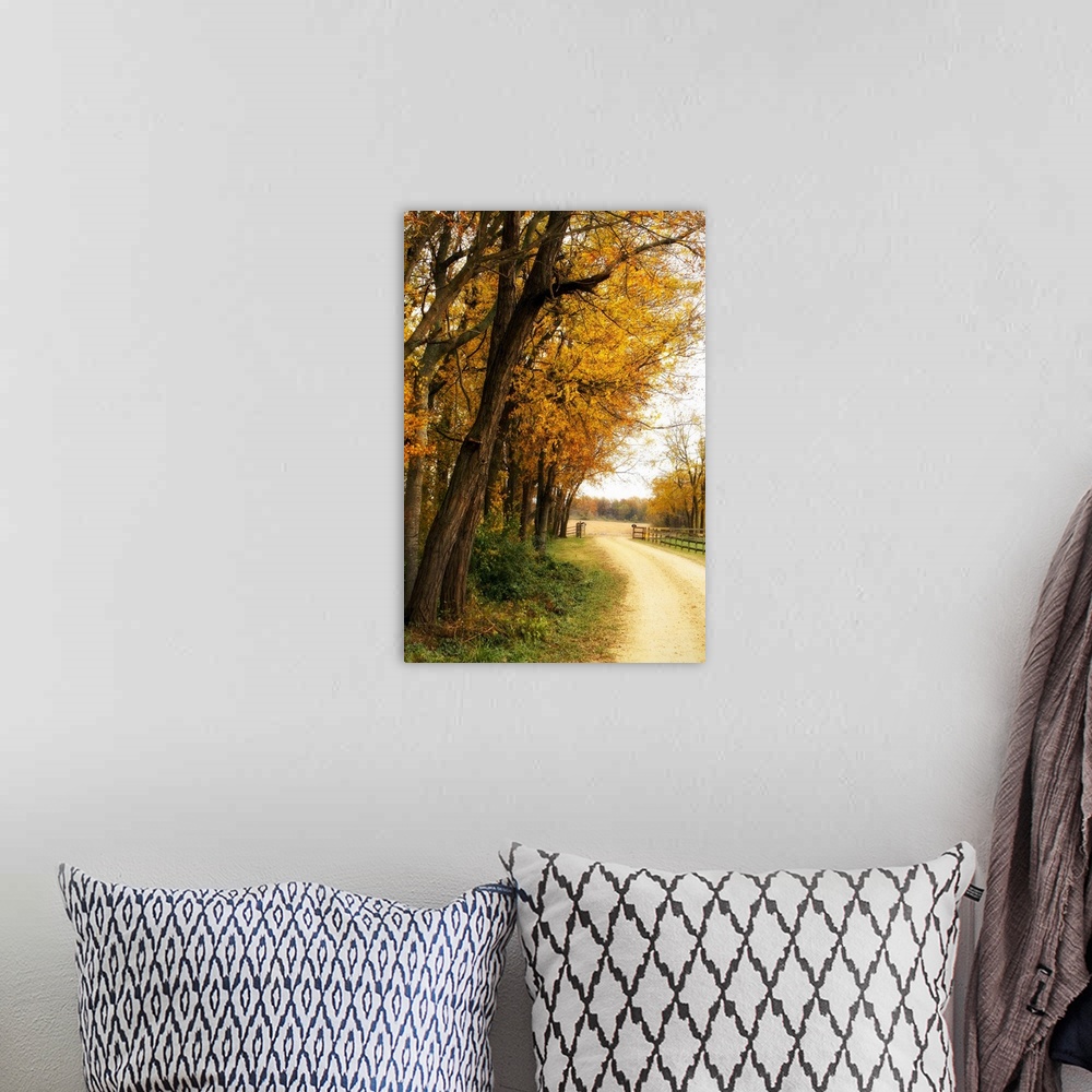 A bohemian room featuring Big portrait photograph of a narrow dirt road running alongside partially bare trees with golden ...