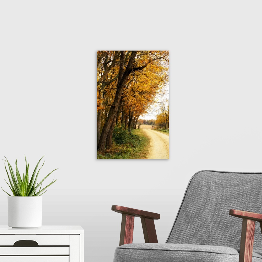 A modern room featuring Big portrait photograph of a narrow dirt road running alongside partially bare trees with golden ...