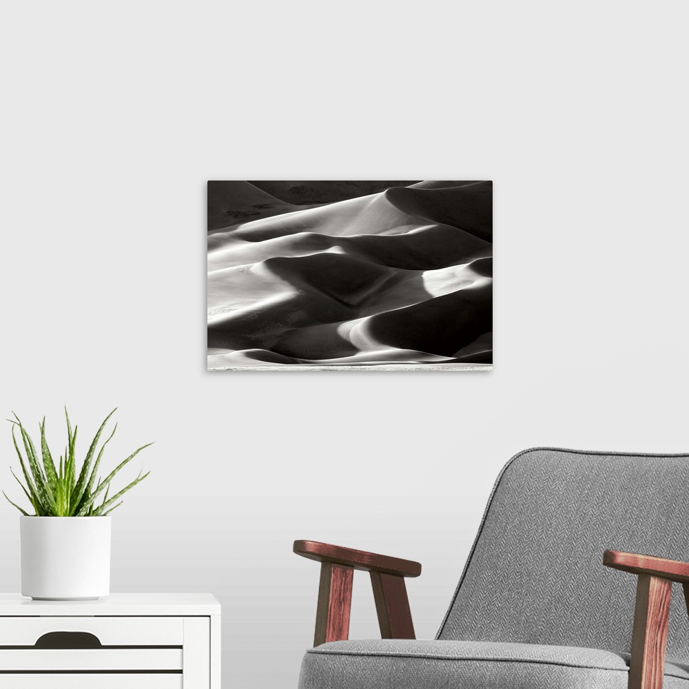A modern room featuring Great Sand Dunes II Black and White