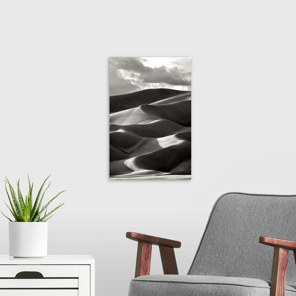 A modern room featuring Great Sand Dunes III Black and White