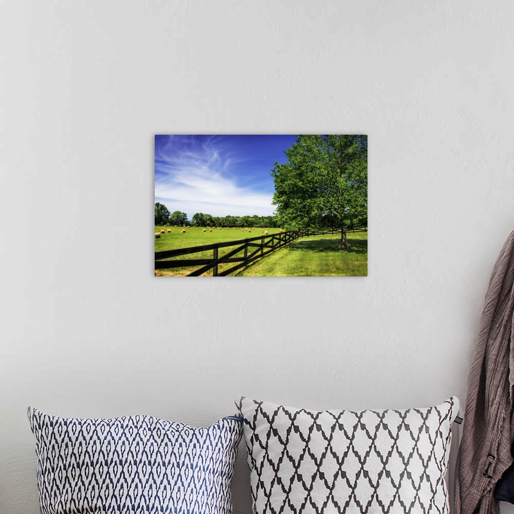 A bohemian room featuring A fence along the edge of a farm on a sunny day with a bright blue sky.