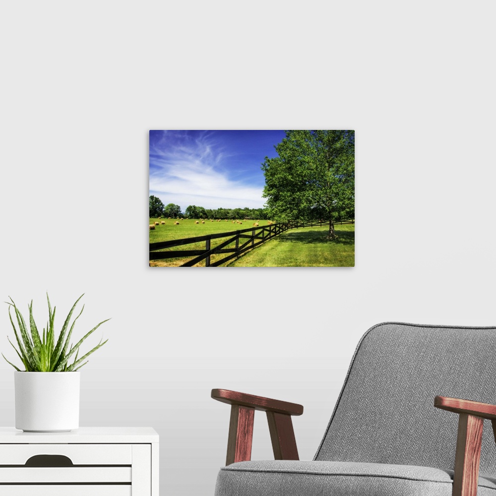 A modern room featuring A fence along the edge of a farm on a sunny day with a bright blue sky.