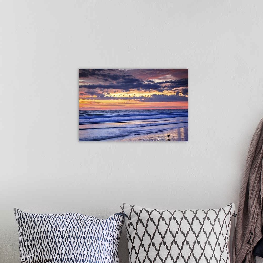 A bohemian room featuring Landscape photograph of a beautiful pink and yellow sunrise over the ocean with a seagull in the ...