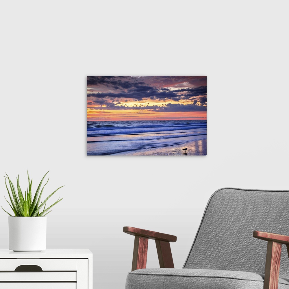 A modern room featuring Landscape photograph of a beautiful pink and yellow sunrise over the ocean with a seagull in the ...