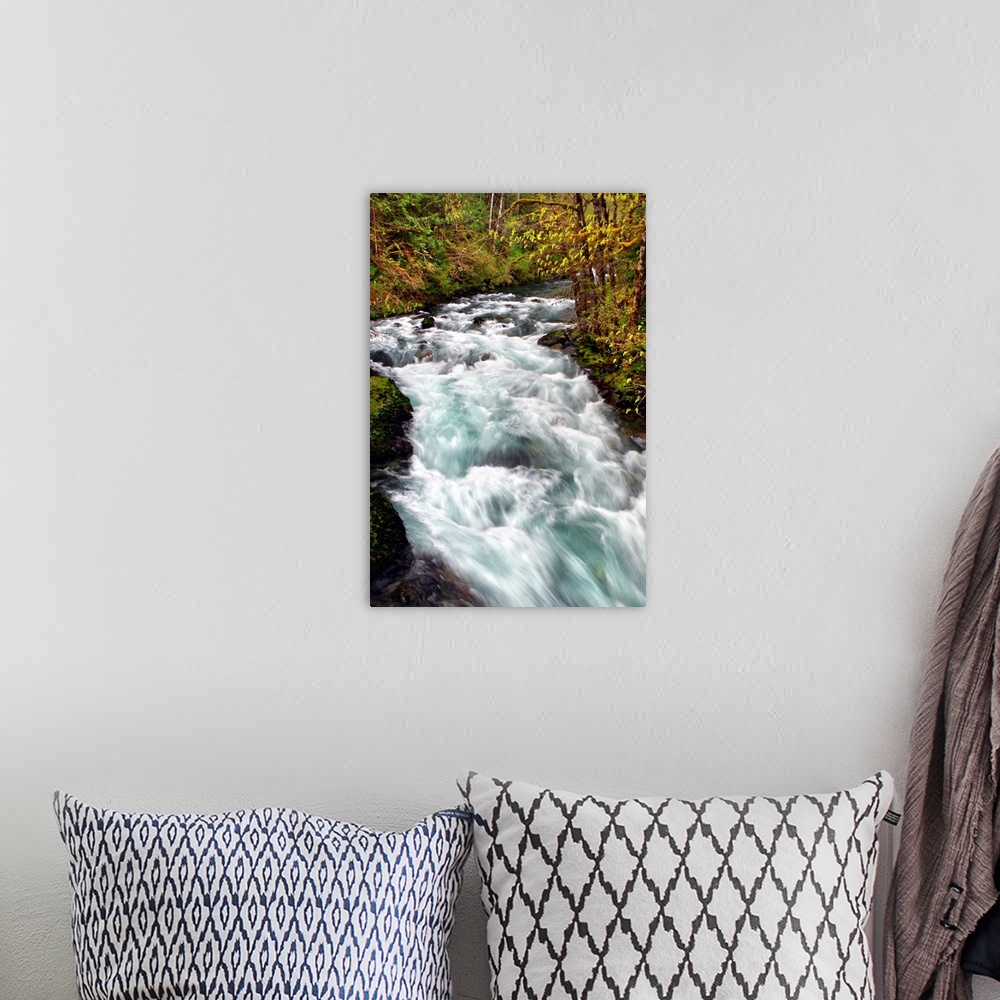 A bohemian room featuring Long exposure photograph of a rushing river surrounded by bright green vegetation.