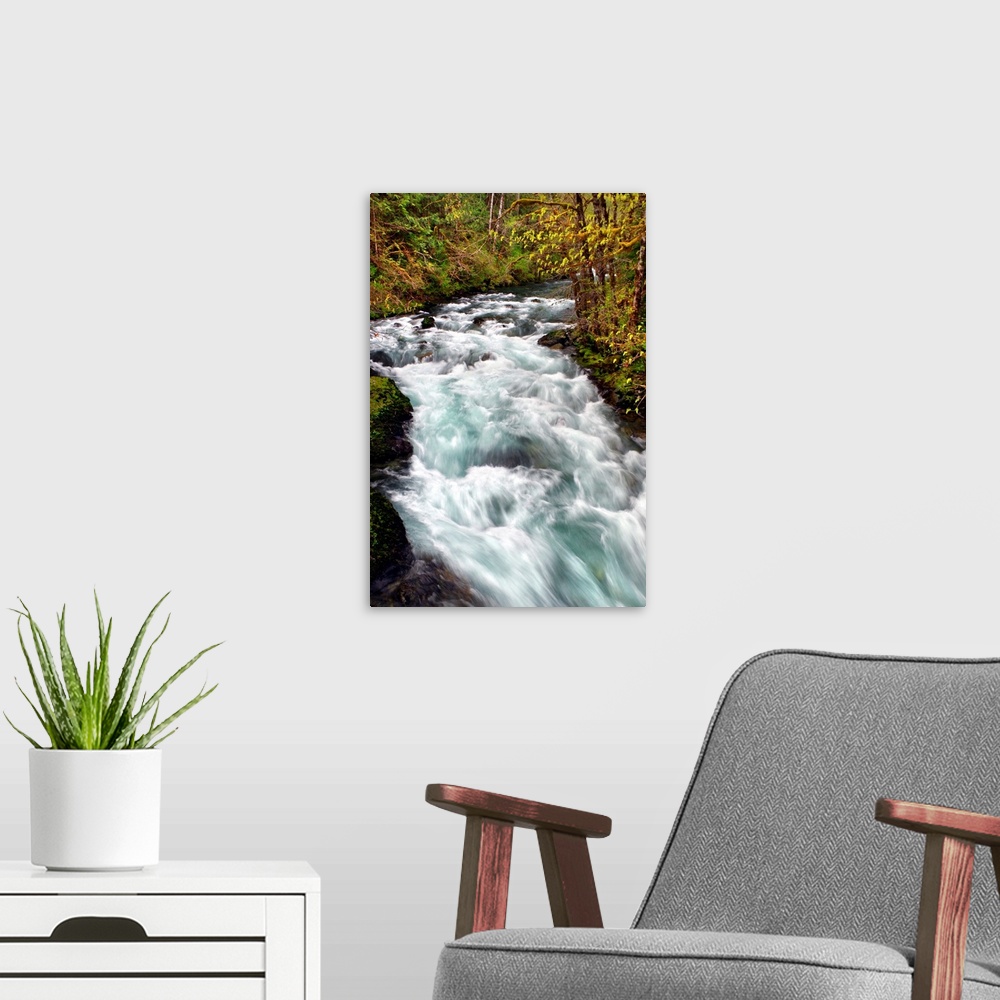 A modern room featuring Long exposure photograph of a rushing river surrounded by bright green vegetation.