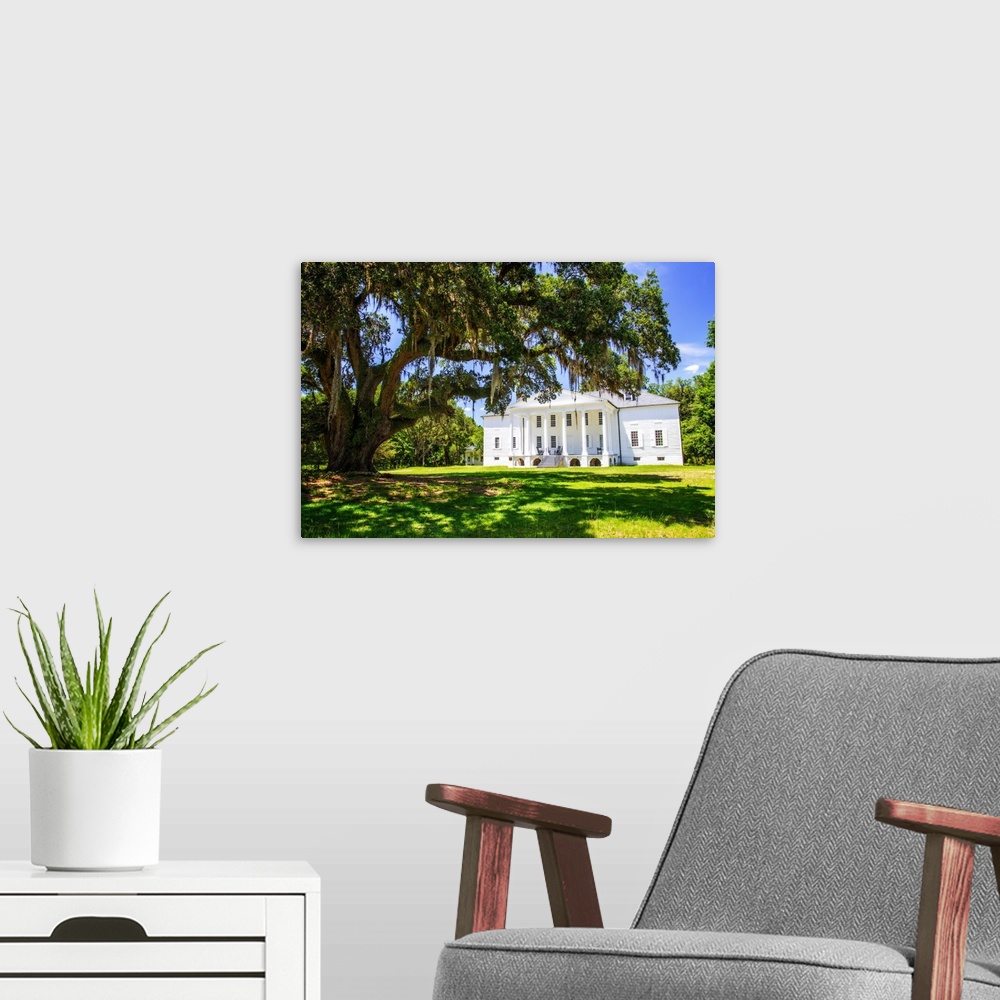 A modern room featuring Photograph of the Historic Hampton Plantation with a large Oak tree in the front.