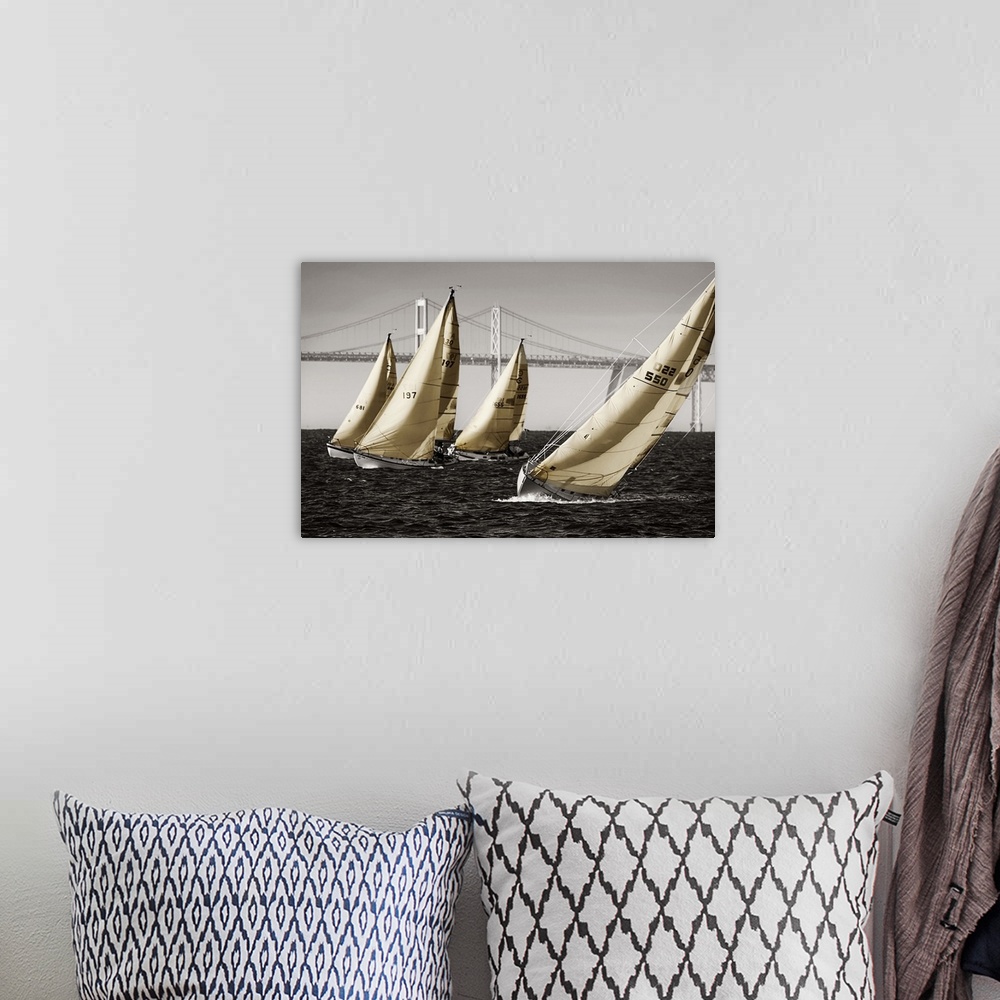 A bohemian room featuring A group of sailboats on the water in Chesapeake Bay near a bridge.