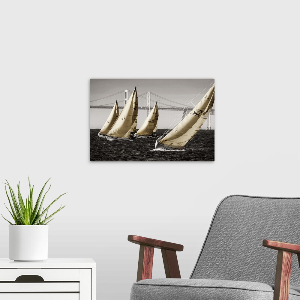 A modern room featuring A group of sailboats on the water in Chesapeake Bay near a bridge.