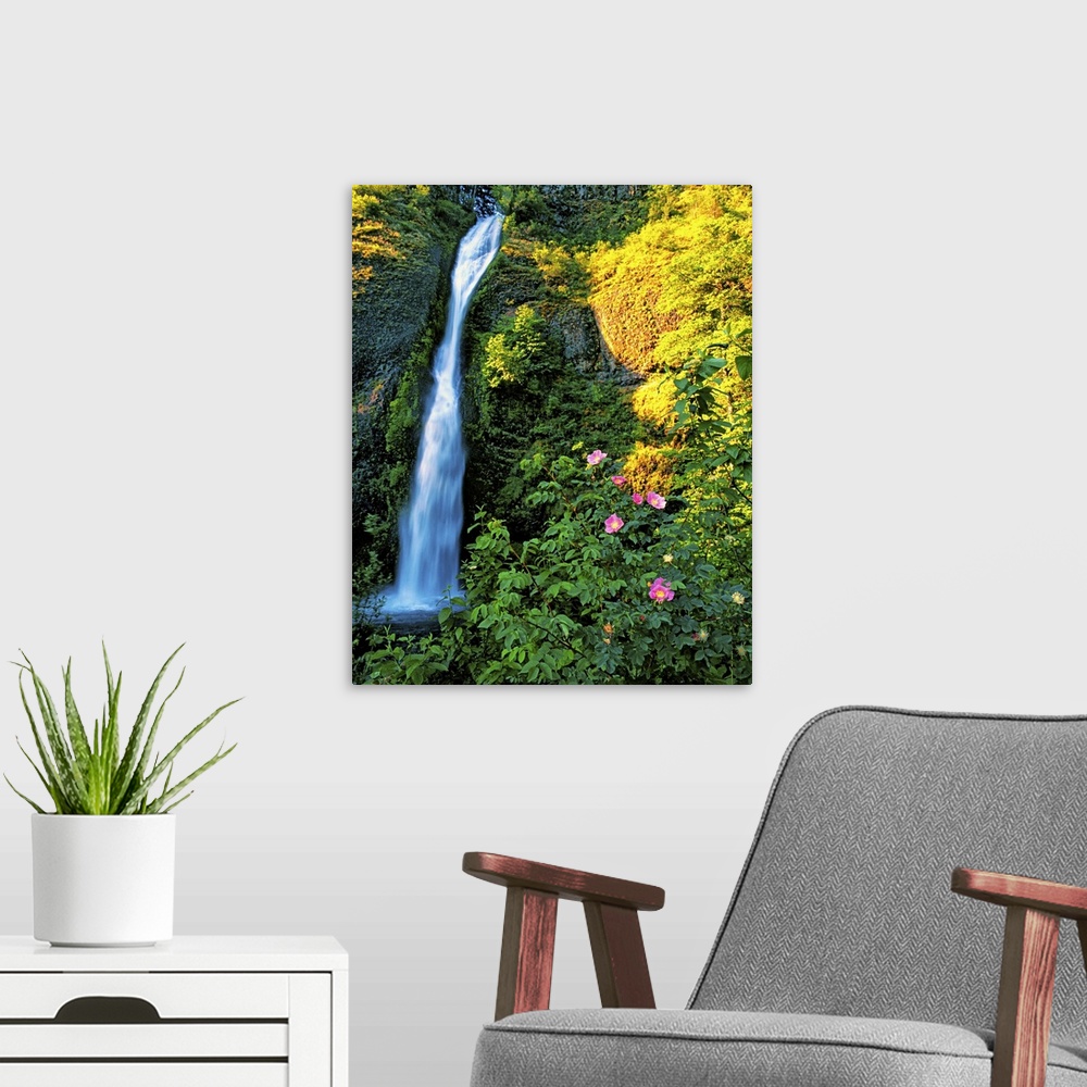 A modern room featuring A small waterfall near bright flowers in a forest in Oregon.