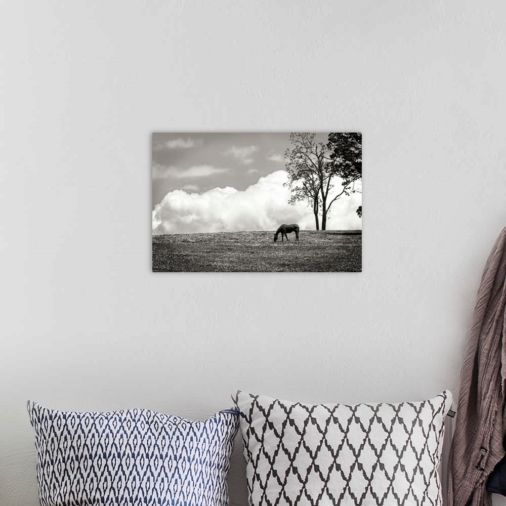 A bohemian room featuring Horses in the Clouds II