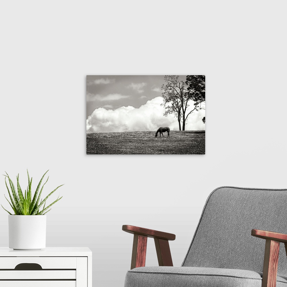 A modern room featuring Horses in the Clouds II