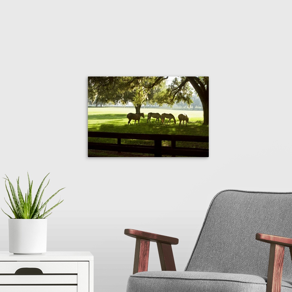A modern room featuring Horses in the Sunrise 1