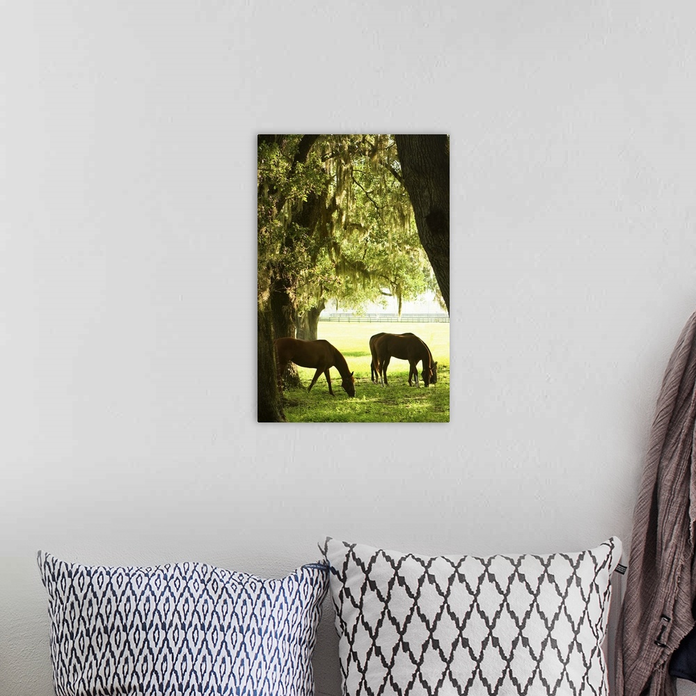 A bohemian room featuring Horses in the Sunrise 6