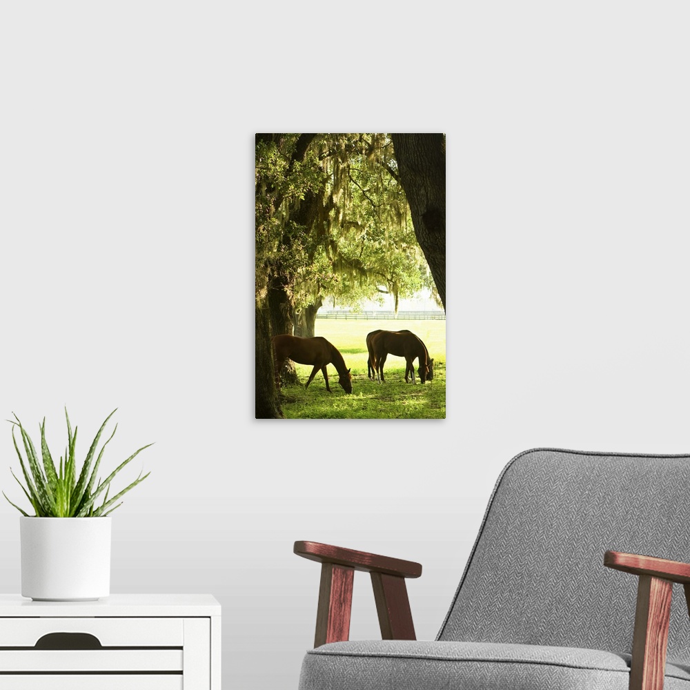 A modern room featuring Horses in the Sunrise 6
