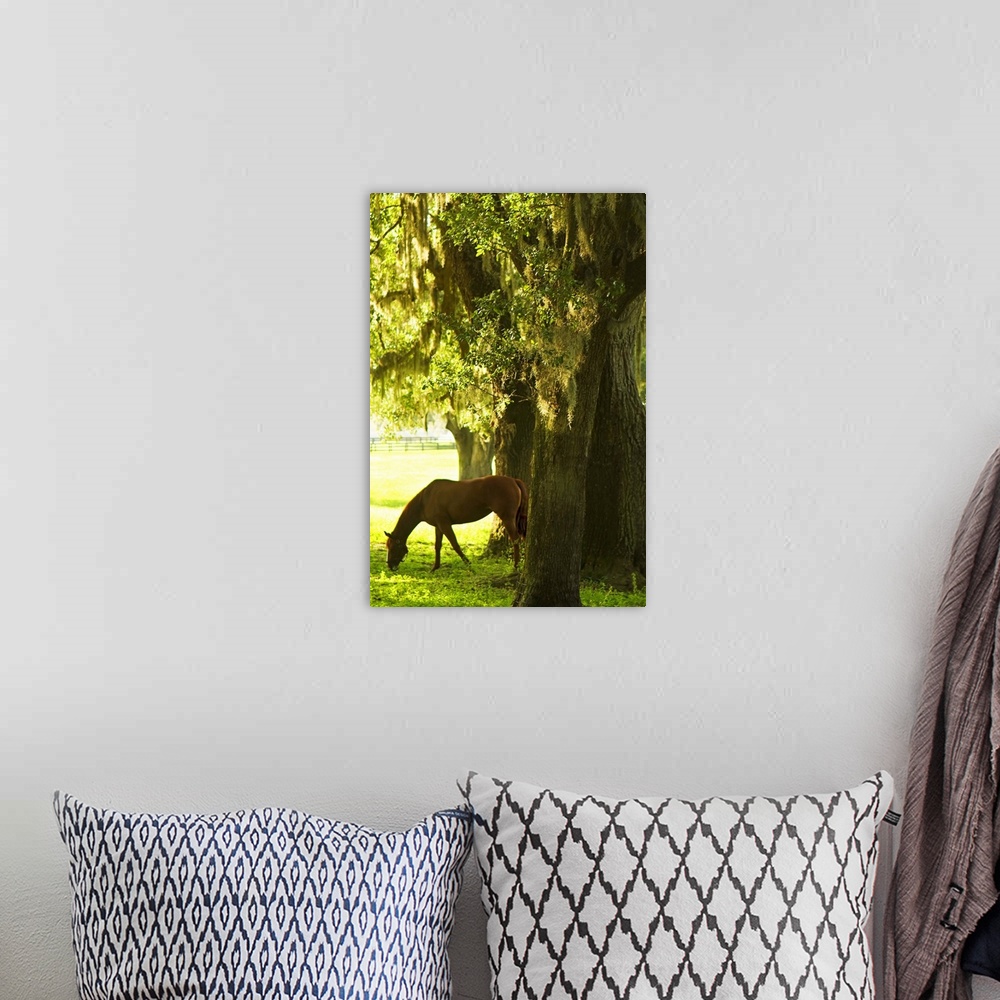 A bohemian room featuring Horses in the Sunrise 7