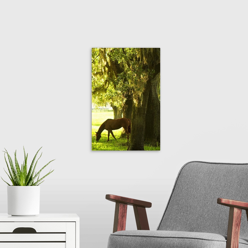 A modern room featuring Horses in the Sunrise 7