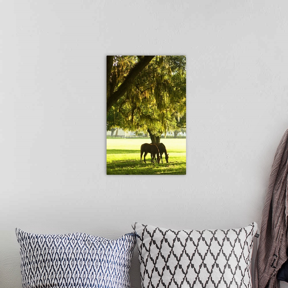 A bohemian room featuring Horses in the Sunrise 8