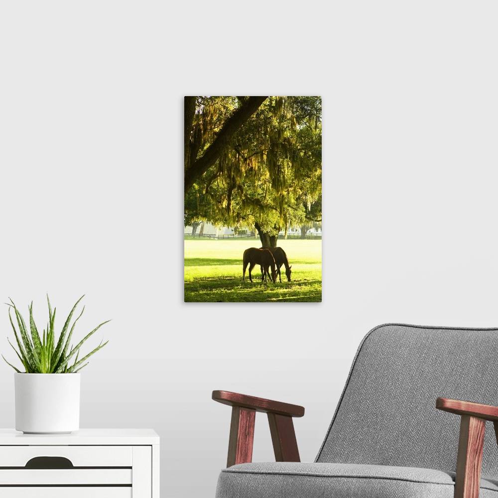 A modern room featuring Horses in the Sunrise 8