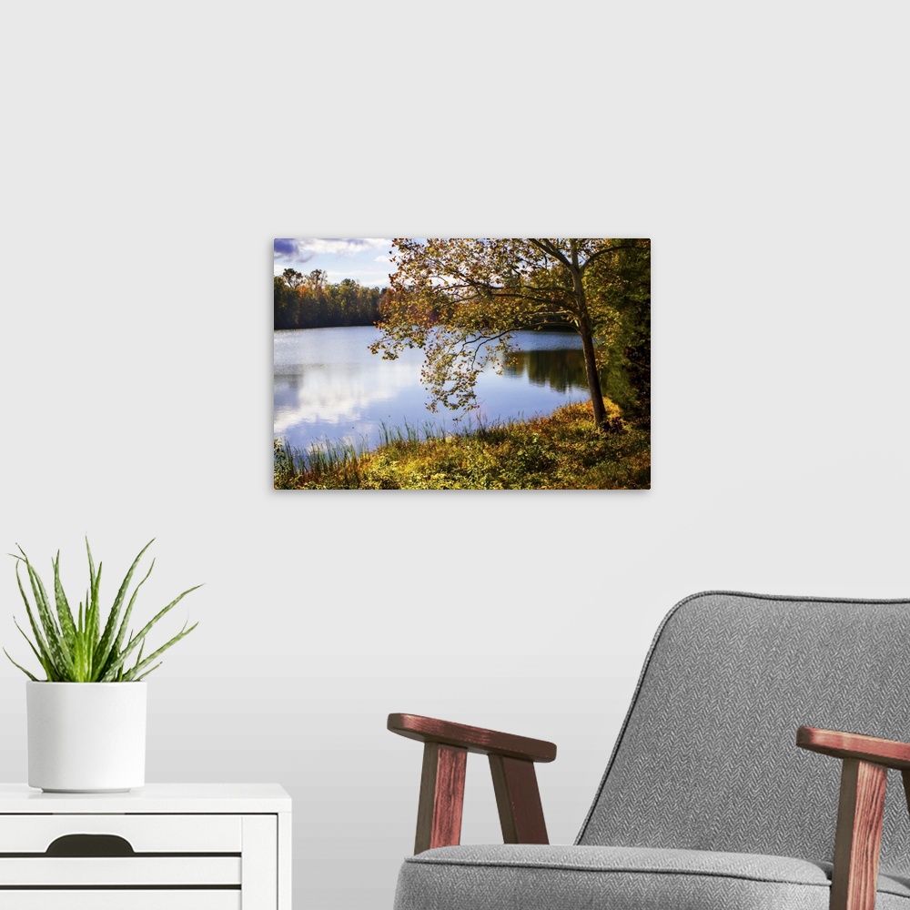 A modern room featuring Horseshoe Lake in Autumn