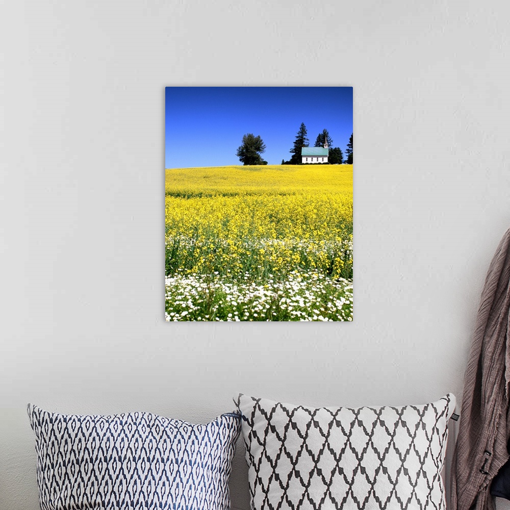 A bohemian room featuring Landscape photograph of a field filled with white and yellow wildflowers and a church on a hill i...