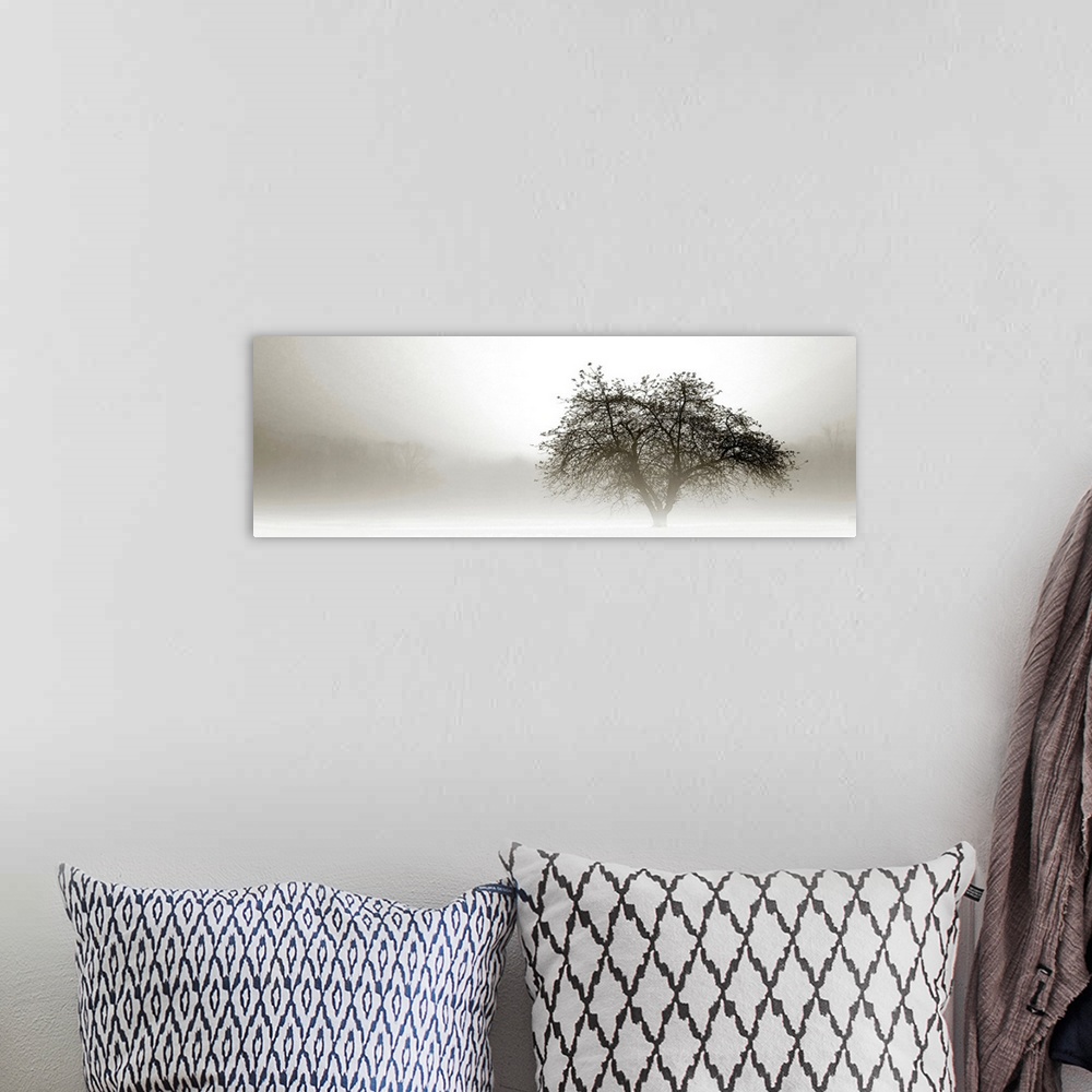 A bohemian room featuring Panoramic photograph of tree silhouette in fog with barely visible forest in the distance.