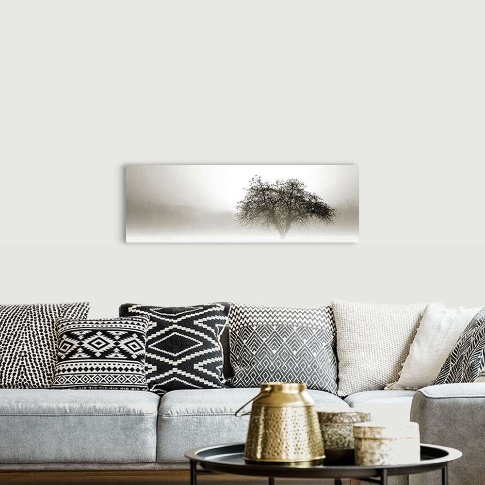 A bohemian room featuring Panoramic photograph of tree silhouette in fog with barely visible forest in the distance.