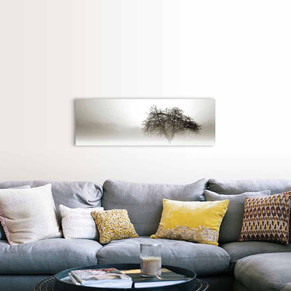 A farmhouse room featuring Panoramic photograph of tree silhouette in fog with barely visible forest in the distance.