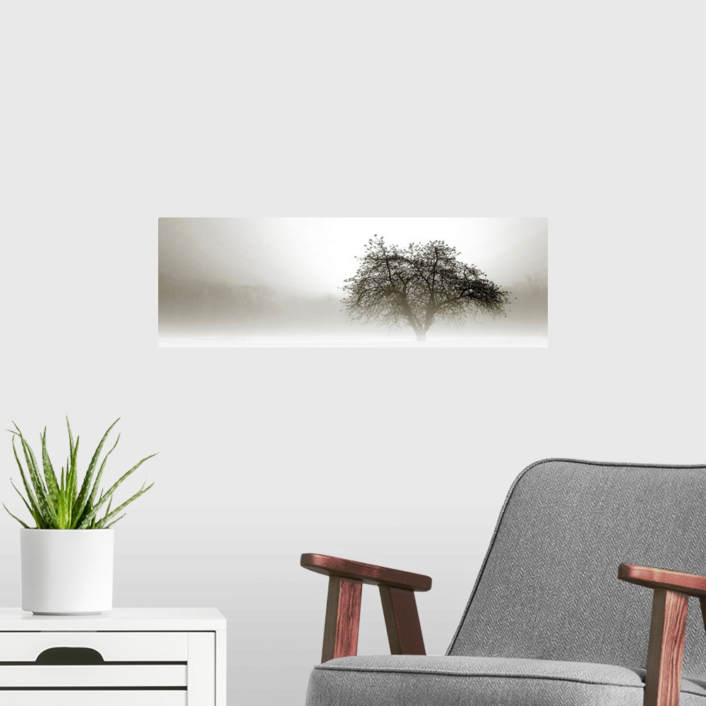 A modern room featuring Panoramic photograph of tree silhouette in fog with barely visible forest in the distance.