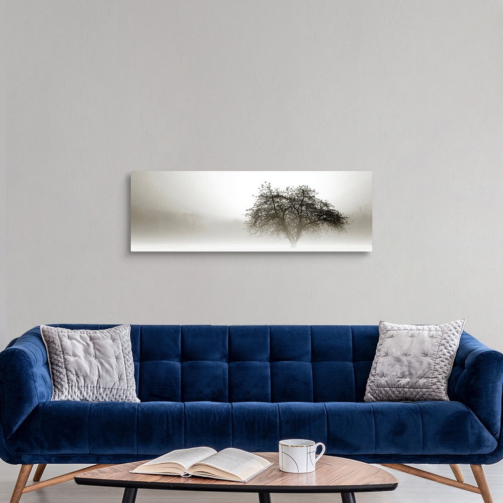 A modern room featuring Panoramic photograph of tree silhouette in fog with barely visible forest in the distance.