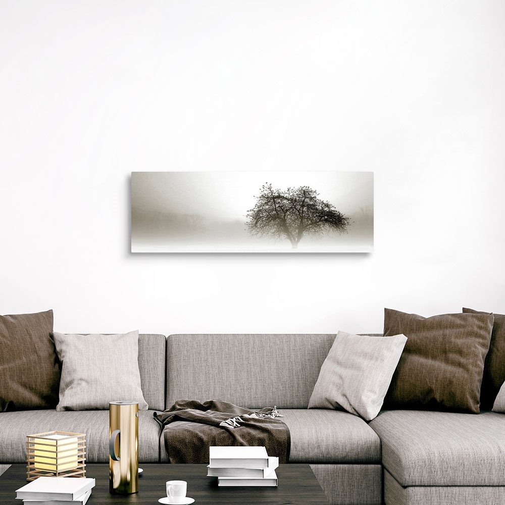 A traditional room featuring Panoramic photograph of tree silhouette in fog with barely visible forest in the distance.