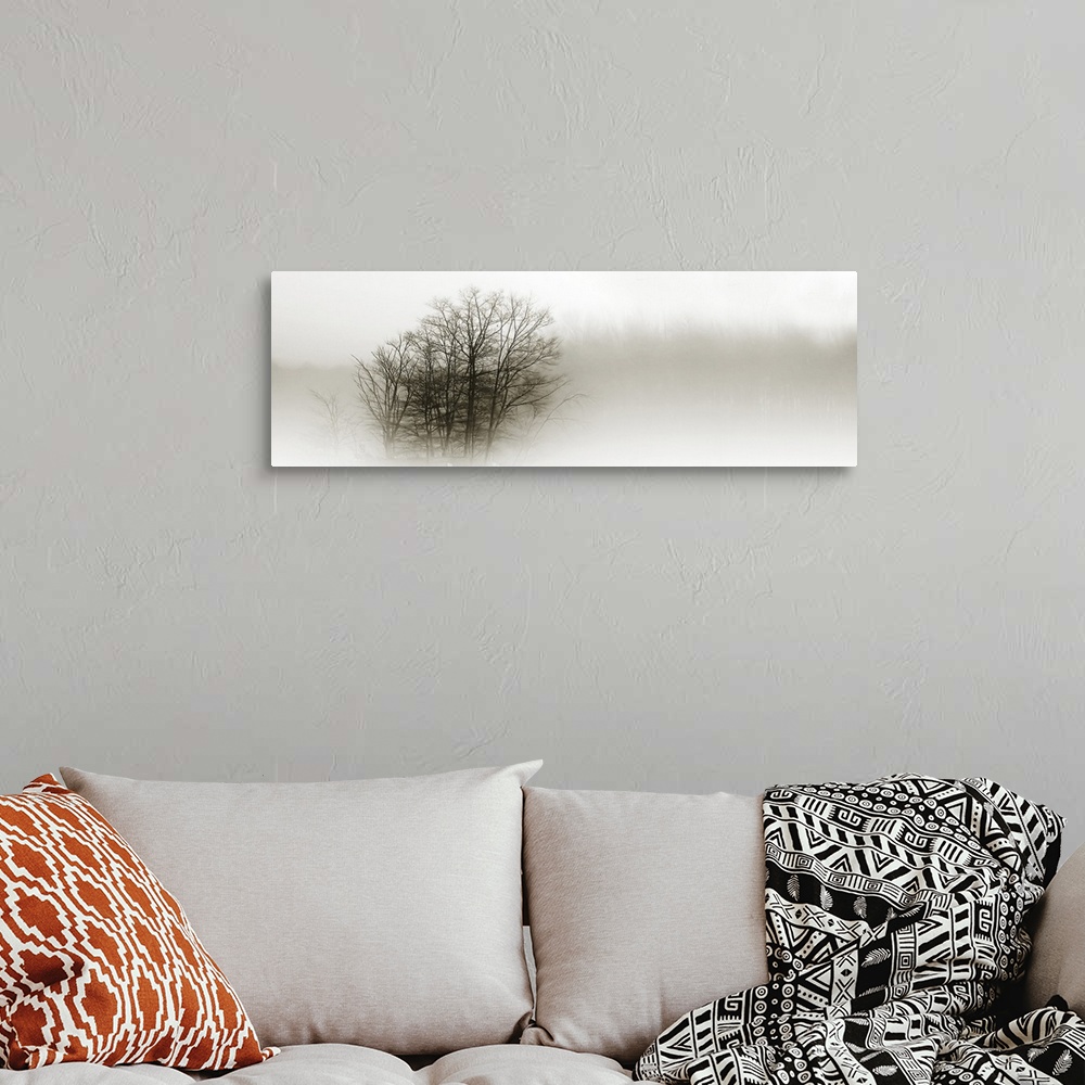 A bohemian room featuring Eerie black-and-white panoramic photograph of the silhouettes of trees shrouded in fog.