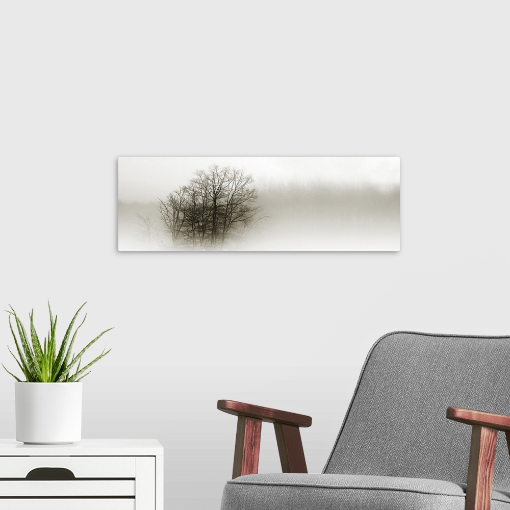 A modern room featuring Eerie black-and-white panoramic photograph of the silhouettes of trees shrouded in fog.