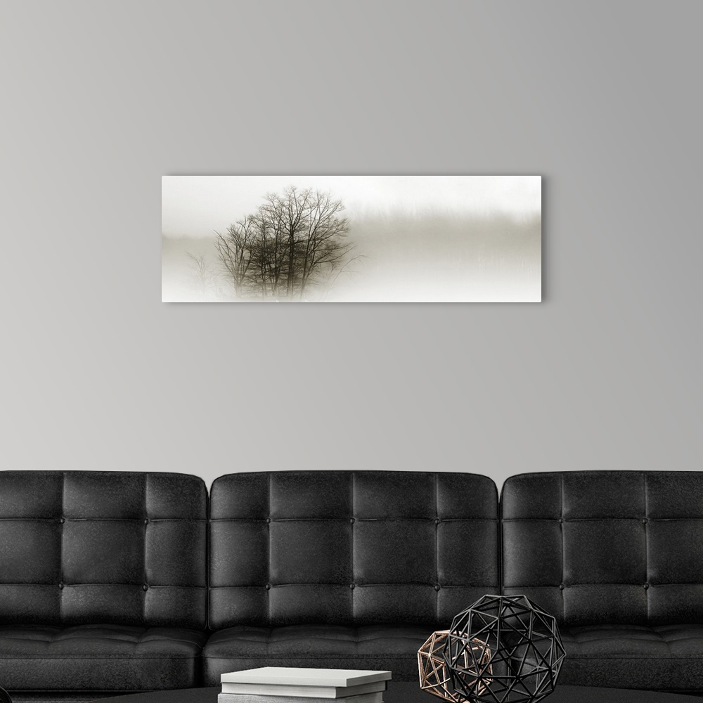 A modern room featuring Eerie black-and-white panoramic photograph of the silhouettes of trees shrouded in fog.