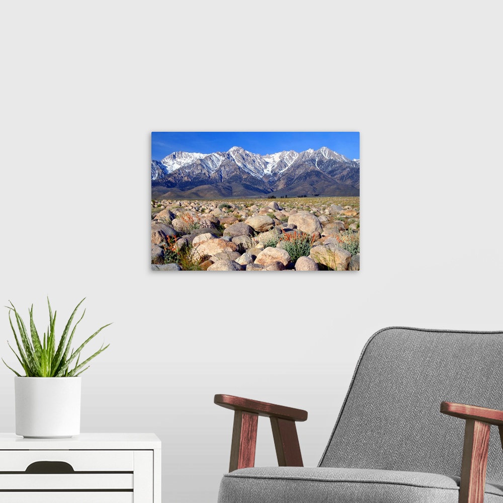 A modern room featuring Landscape photograph of a rocky terrain leading to snow covered mountains.