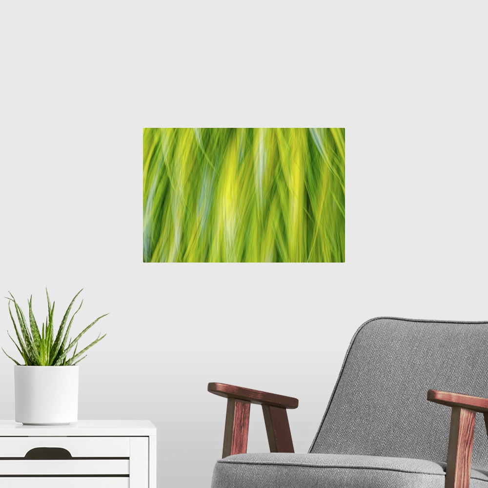 A modern room featuring Japanese Forest Grass I