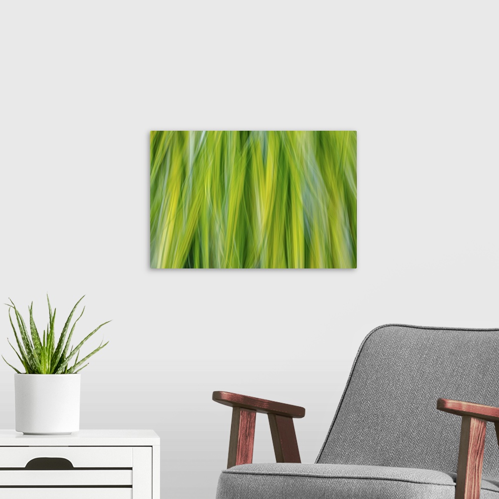 A modern room featuring Japanese Forest Grass II