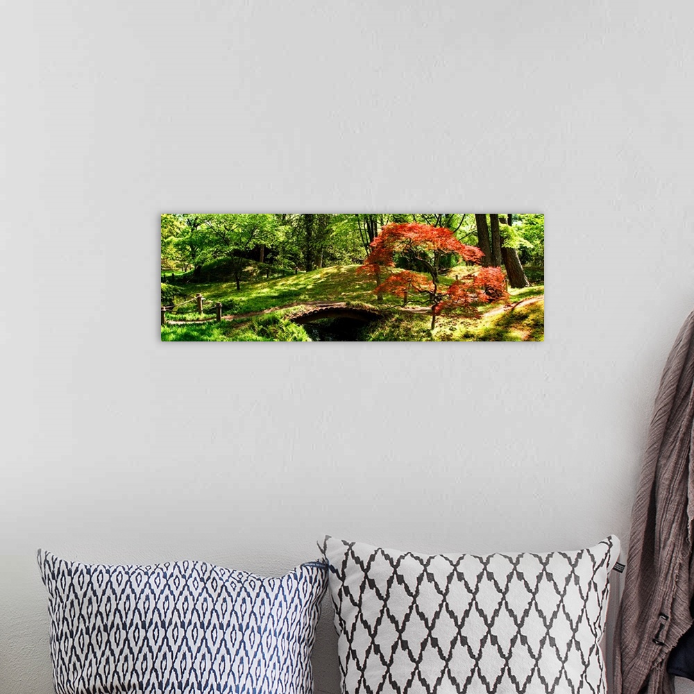 A bohemian room featuring Panoramic photograph of a hilly Japanese garden with a red maple tree and a small foot bridge ove...