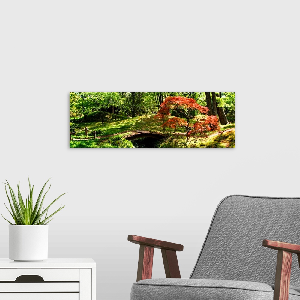 A modern room featuring Panoramic photograph of a hilly Japanese garden with a red maple tree and a small foot bridge ove...