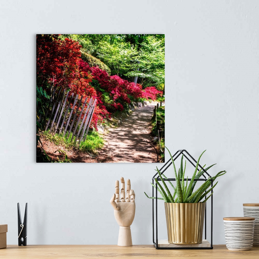 A bohemian room featuring Square photograph of a dirt path through a Japanese garden lined with red azaleas.