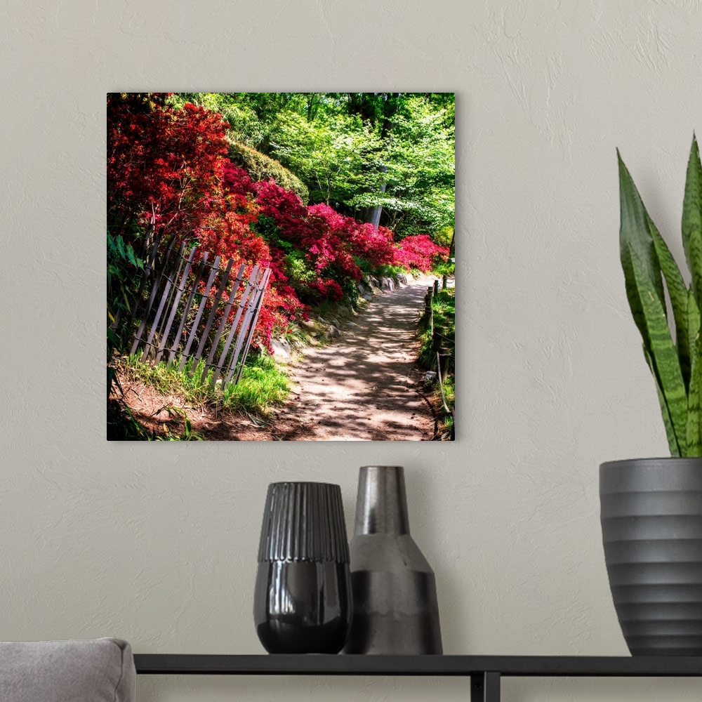 A modern room featuring Square photograph of a dirt path through a Japanese garden lined with red azaleas.