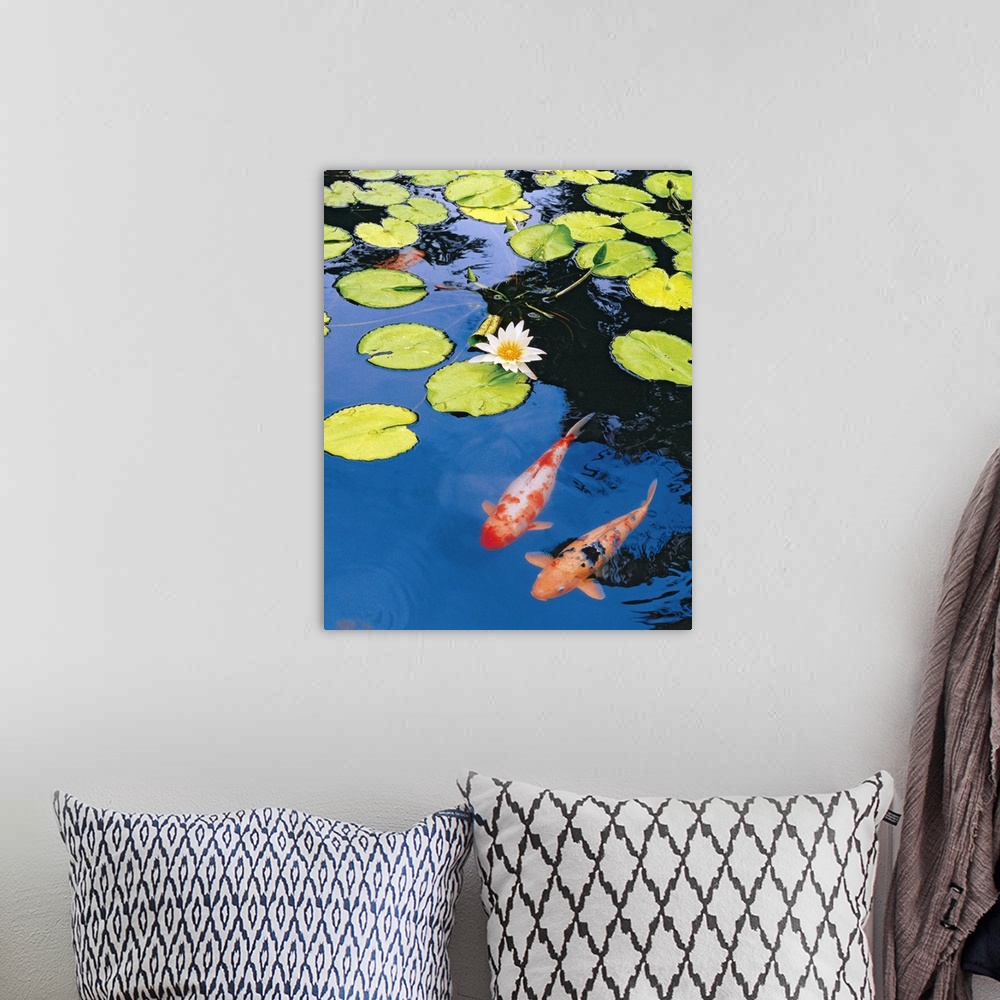 A bohemian room featuring Decorative artwork for the home or office that shows two koi fish swimming just under the surface...