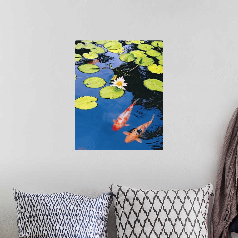 A bohemian room featuring Decorative artwork for the home or office that shows two koi fish swimming just under the surface...