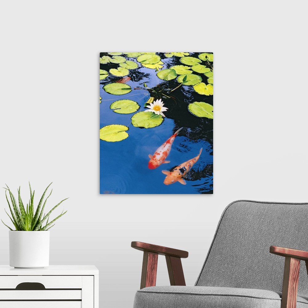 A modern room featuring Decorative artwork for the home or office that shows two koi fish swimming just under the surface...