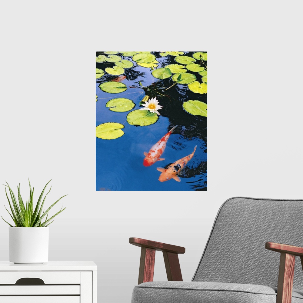 A modern room featuring Decorative artwork for the home or office that shows two koi fish swimming just under the surface...