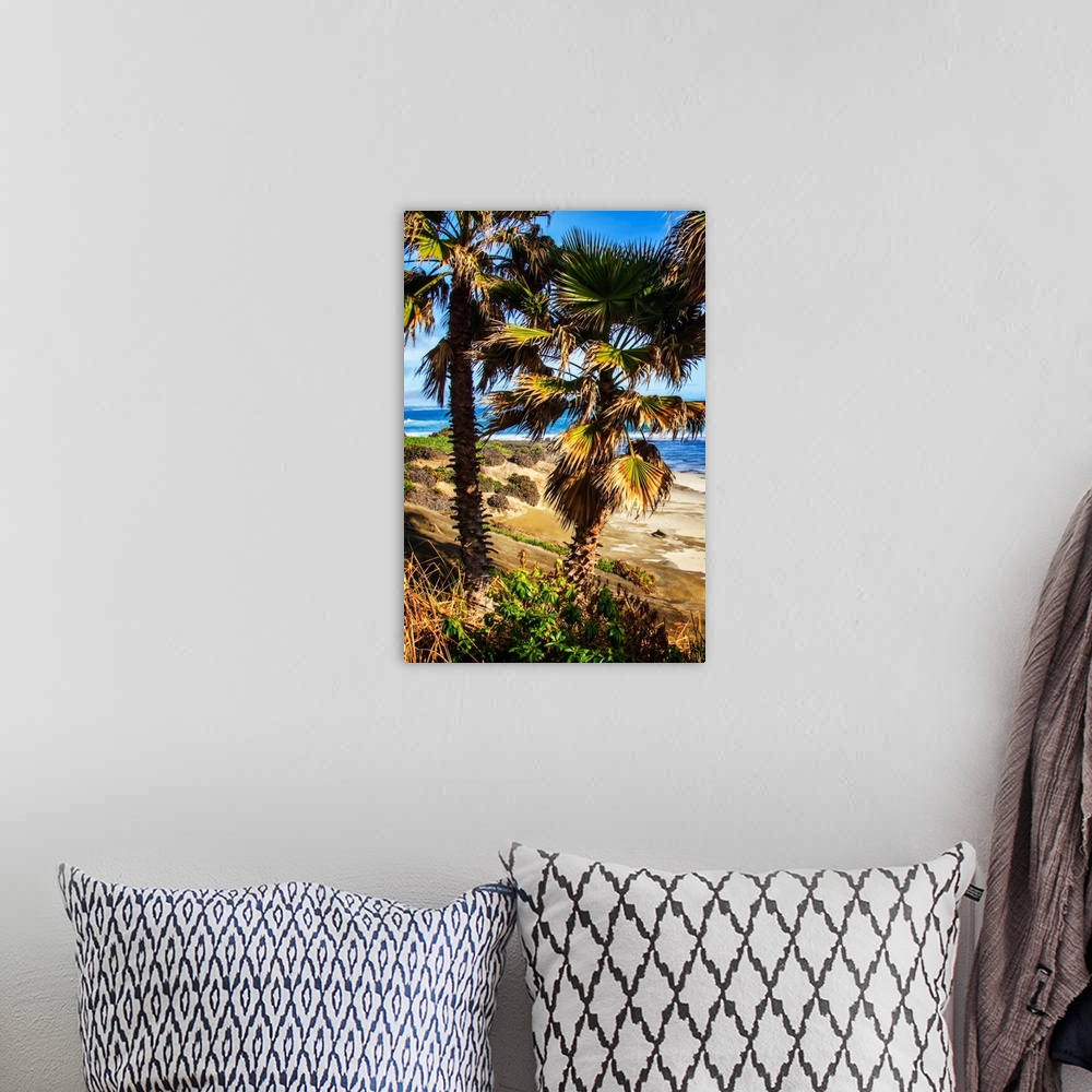 A bohemian room featuring Photograph of two palm trees on the shore with the ocean in the background in La Jolla, California.