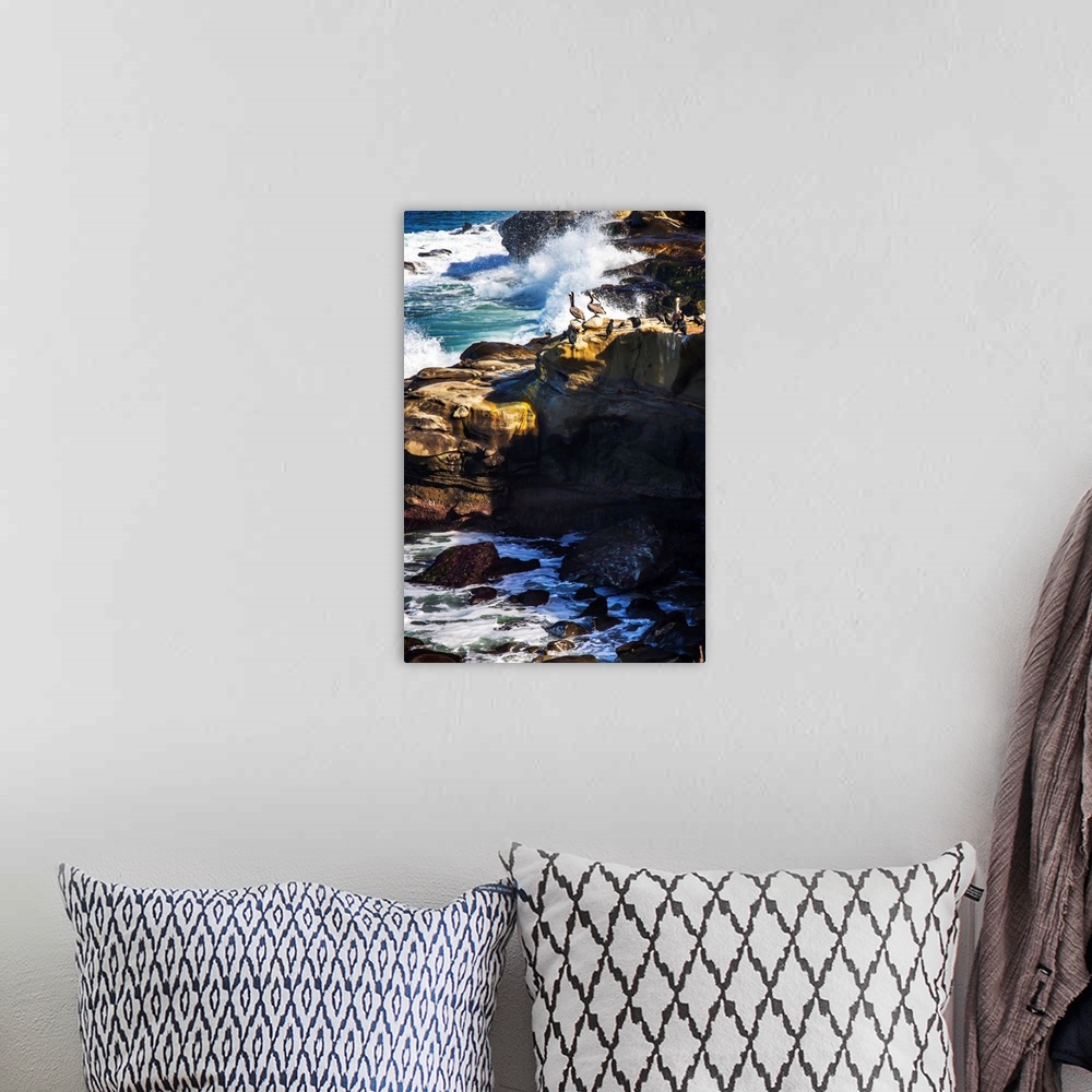 A bohemian room featuring Landscape photograph of rocky cliffs with pelicans on top watching the waves crash.
