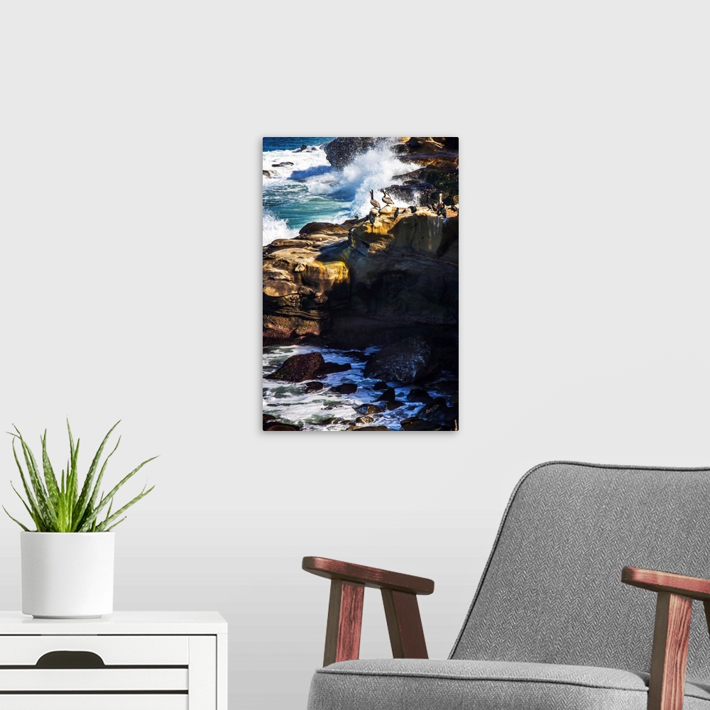 A modern room featuring Landscape photograph of rocky cliffs with pelicans on top watching the waves crash.