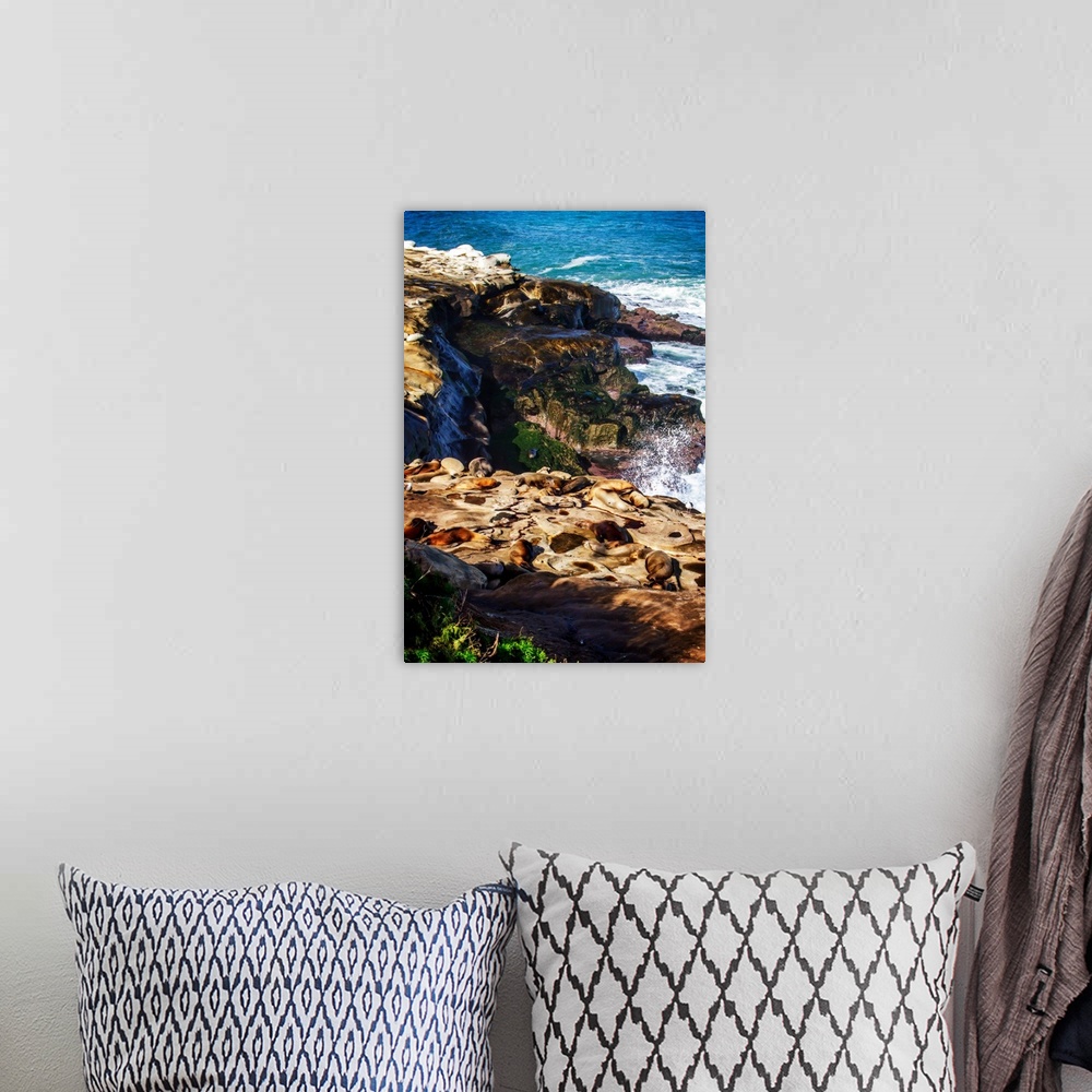 A bohemian room featuring Landscape photograph of rocky cliffs at La Jolla with sea lions laying on top of them.